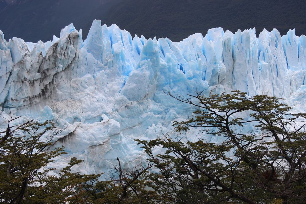 Photograph by Patricia Delionardis