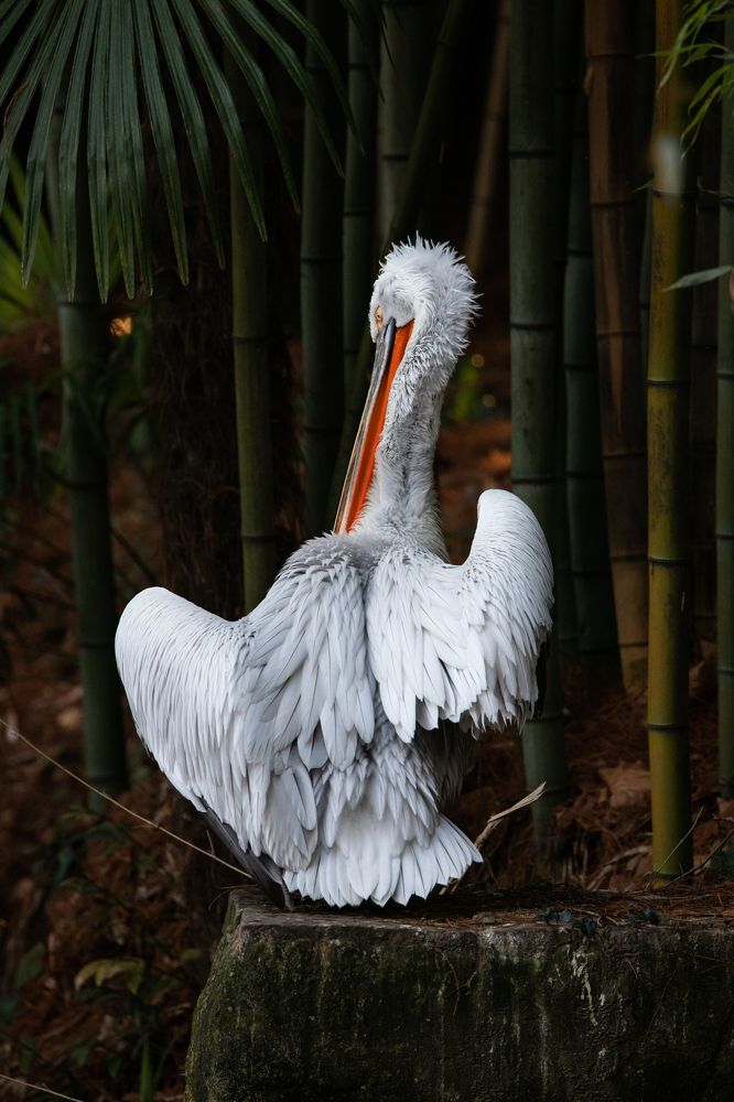 Photograph by Алексей Солоухин