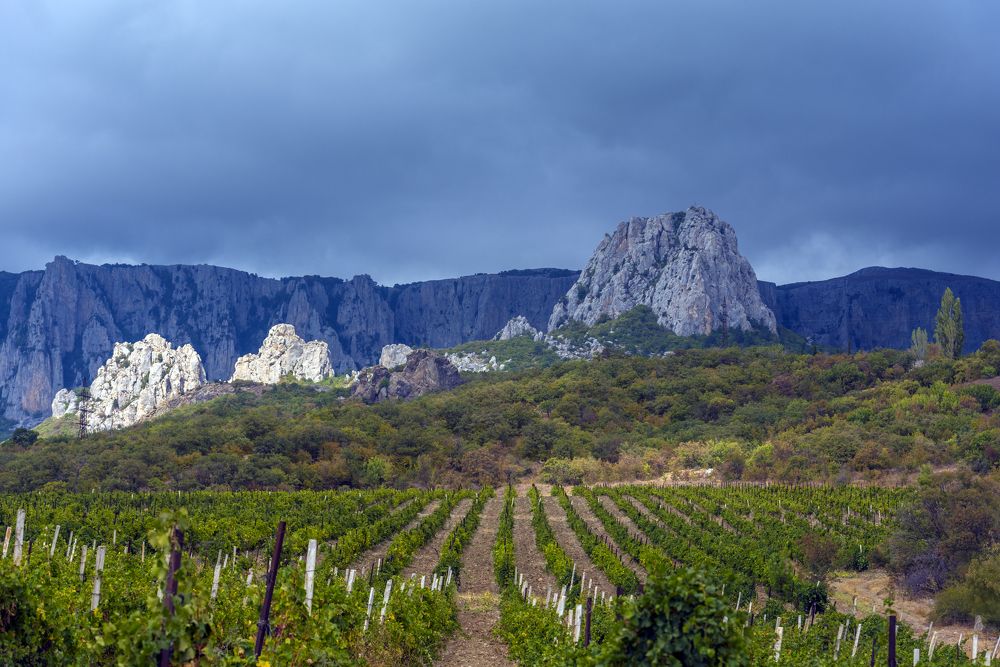 Photograph by Анна Кривицкая