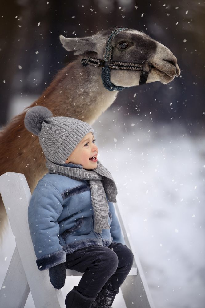 Фотография автора Катерина Лебедева