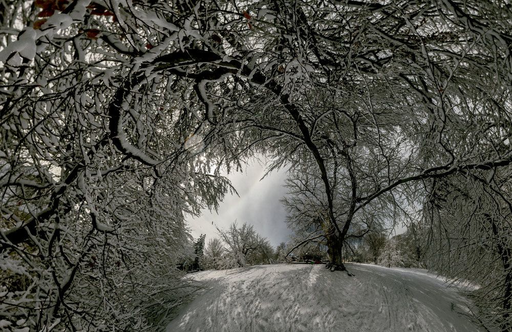 Фотография автора andrey gagarin