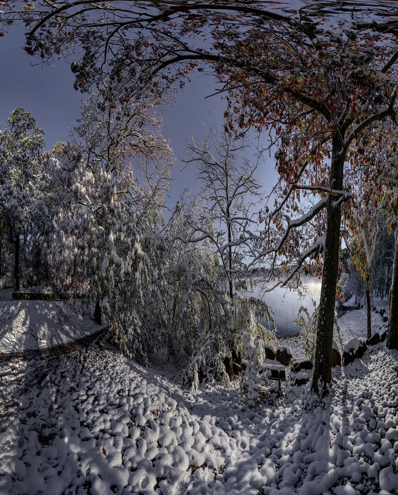 Фотография автора andrey gagarin