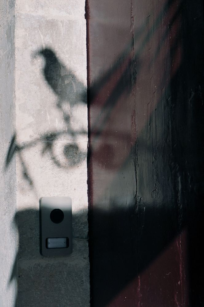 Photograph by Alfredo Milazzo