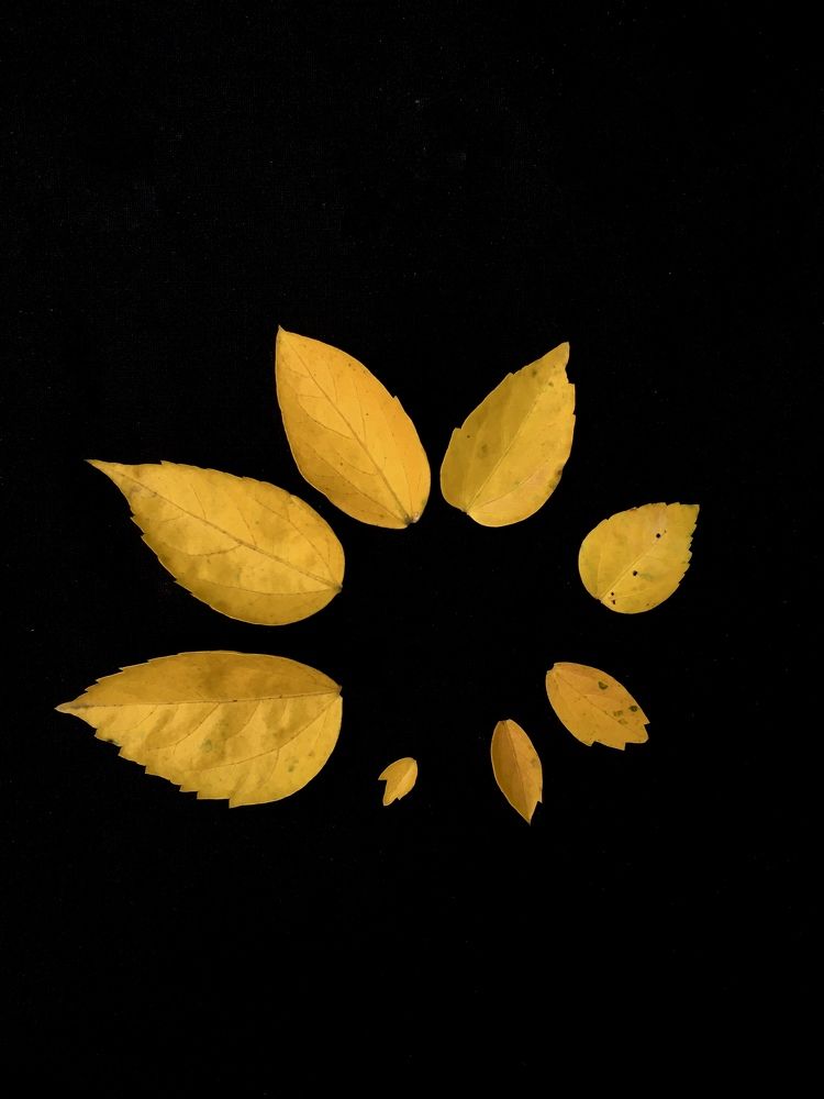 Photograph by Sr. Ma. Jenny Mhy-sy Yasa