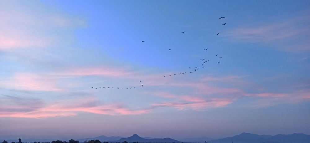 Photograph by Gerardo Jimenez