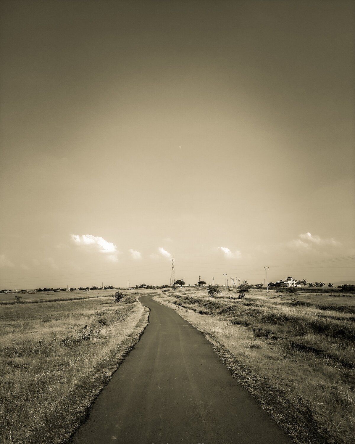 Photo #5610827