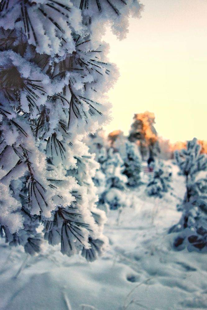 Фотография автора Марина