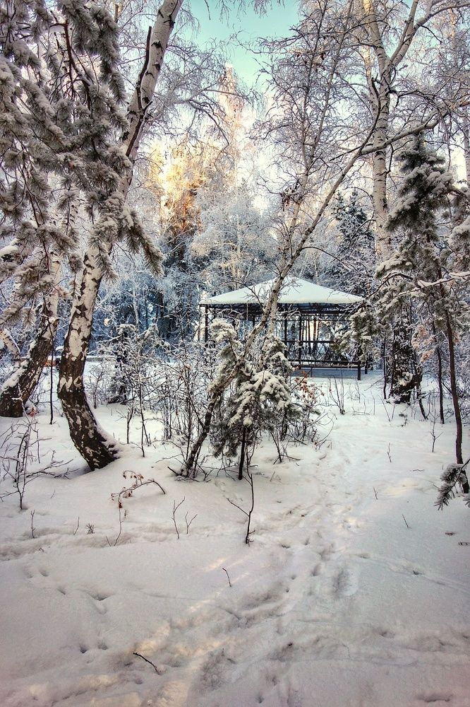 Фотография автора Марина