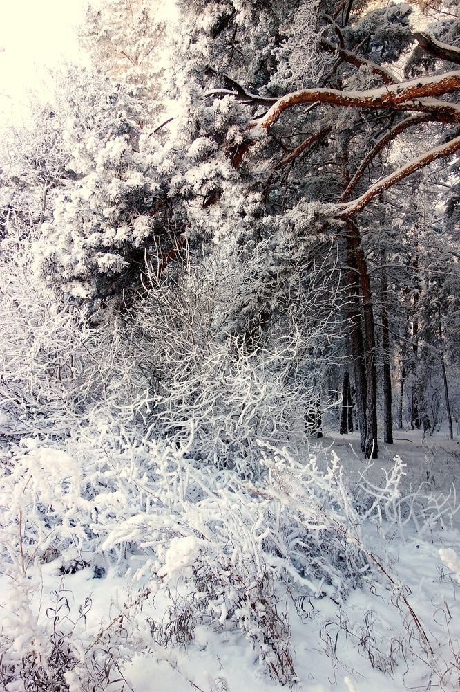 Фотография автора Марина