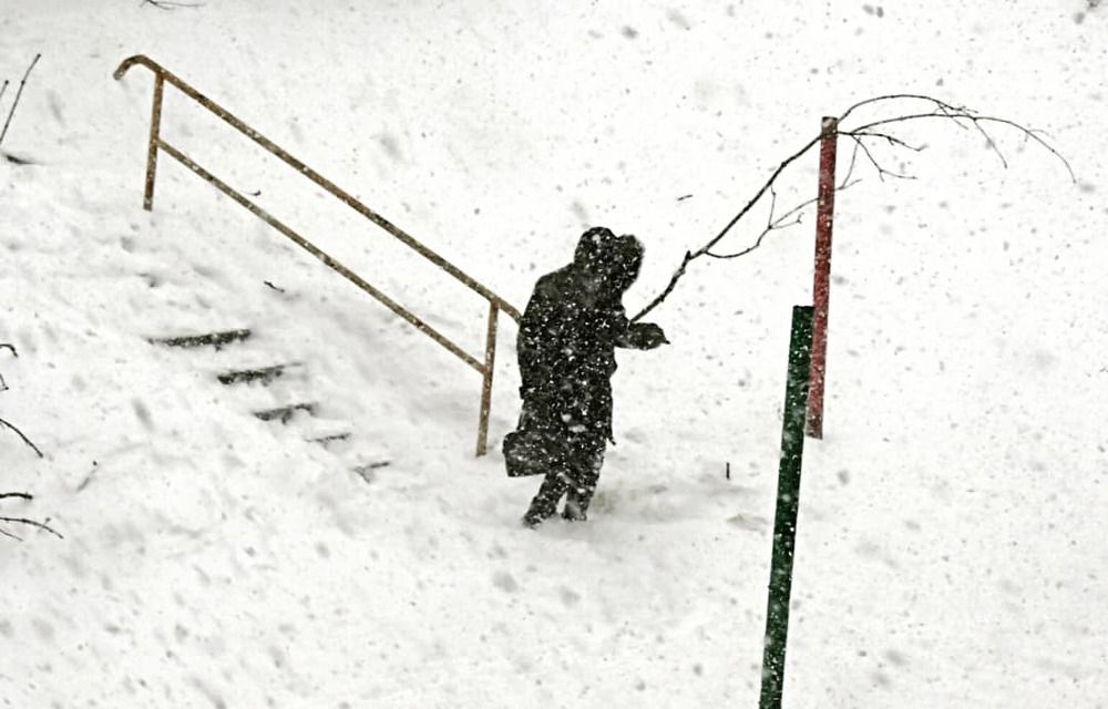 Потерявшая дорогу .