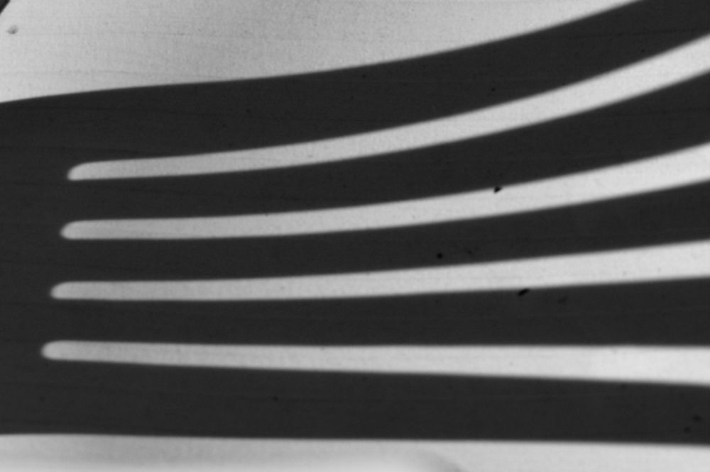 Photograph by Atila Gombos