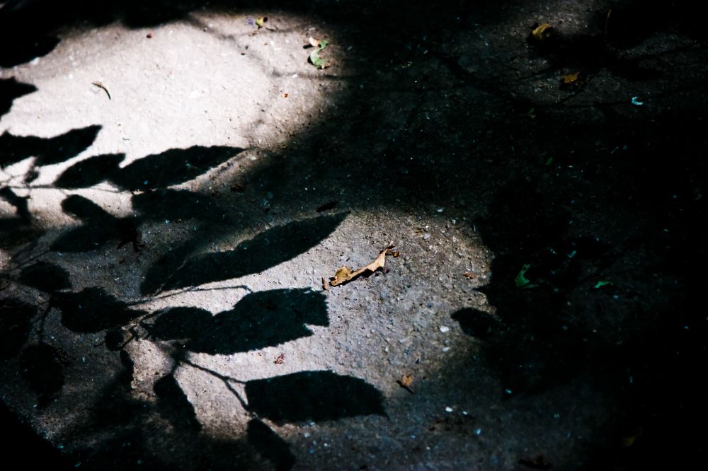 Photograph by Atila Gombos