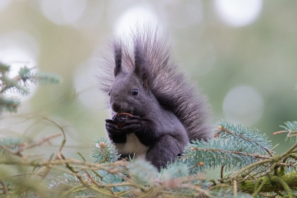 Photograph by Денис Ветренко