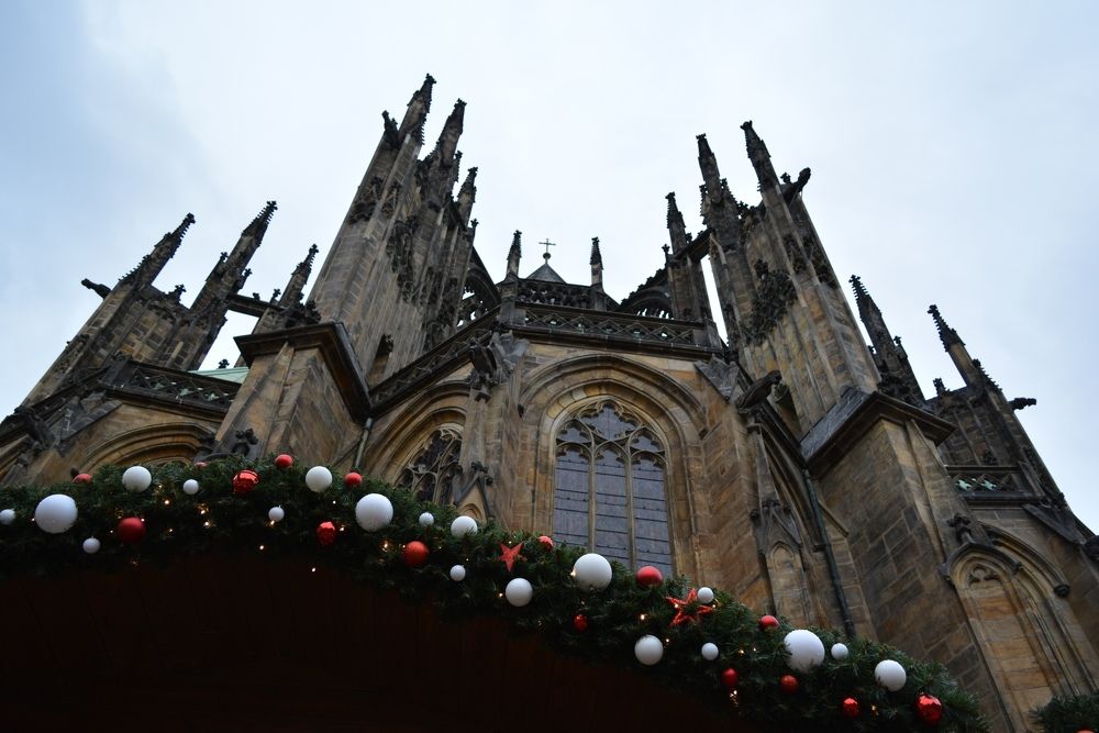 Фотография автора Татьяна Мазепова