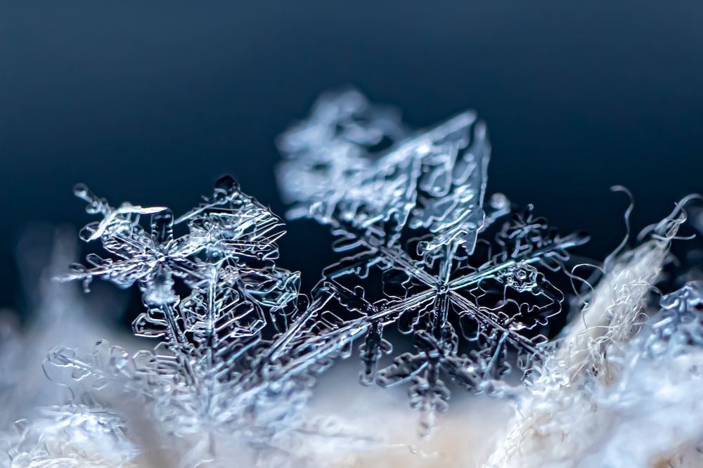 Photograph by Кристина Кудрявцева