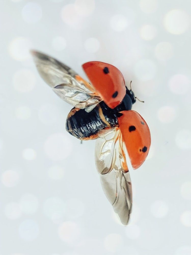 Photograph by Ирина Кузнецова