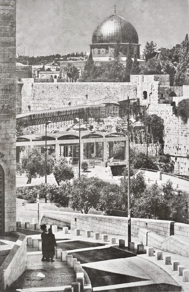 Photograph by Светлана Борозенцева