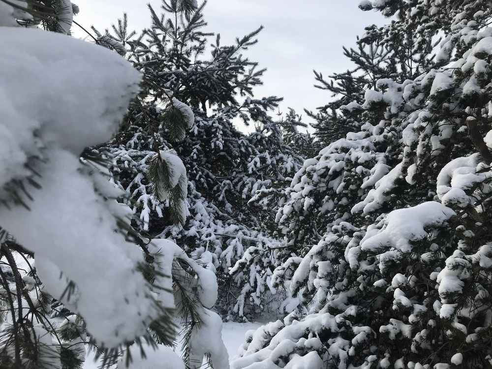 Photograph by Анастасия Клевец