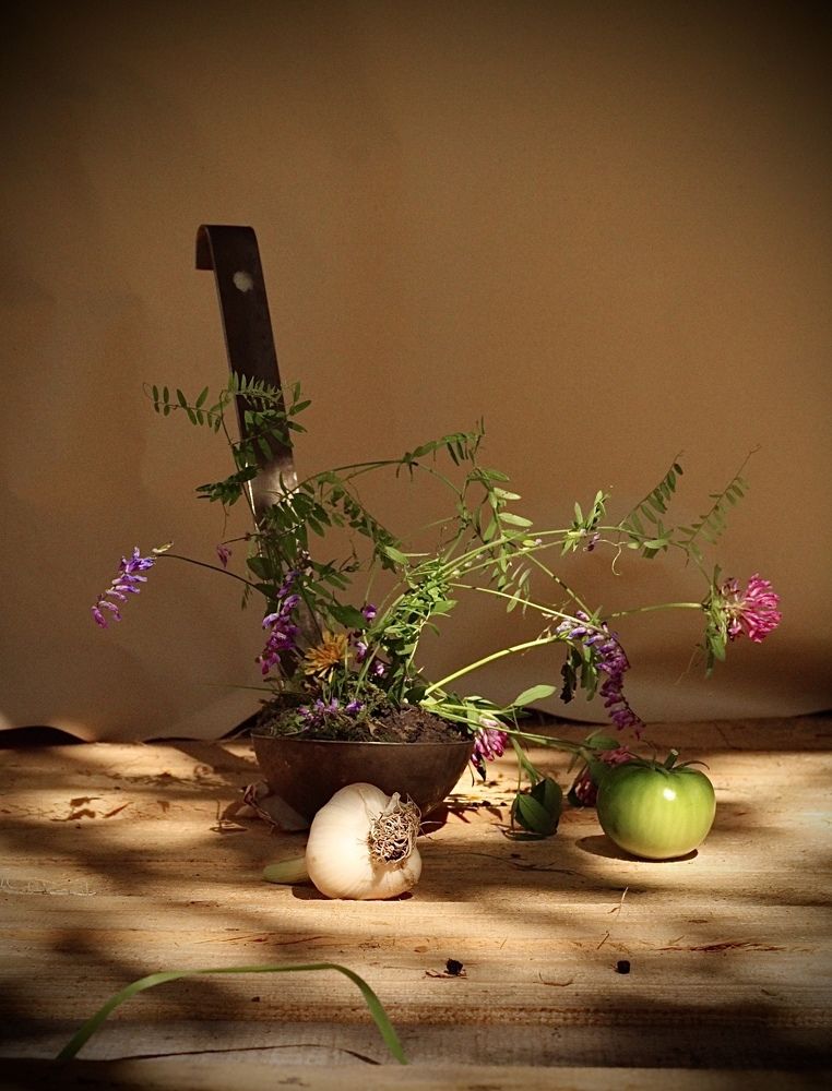 Фотография автора Юлия Казарова