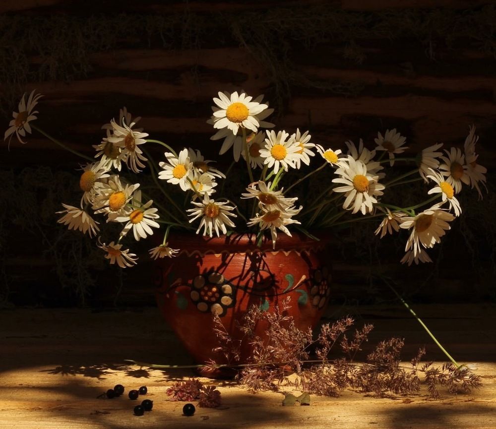 Утро в деревне