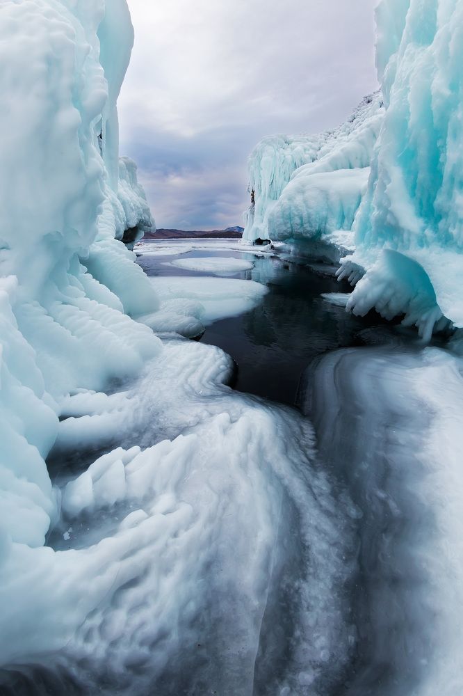 Свежие соккуи на Кобыльей голове