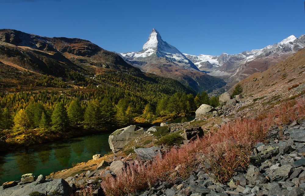 Photograph by Elena Wymann