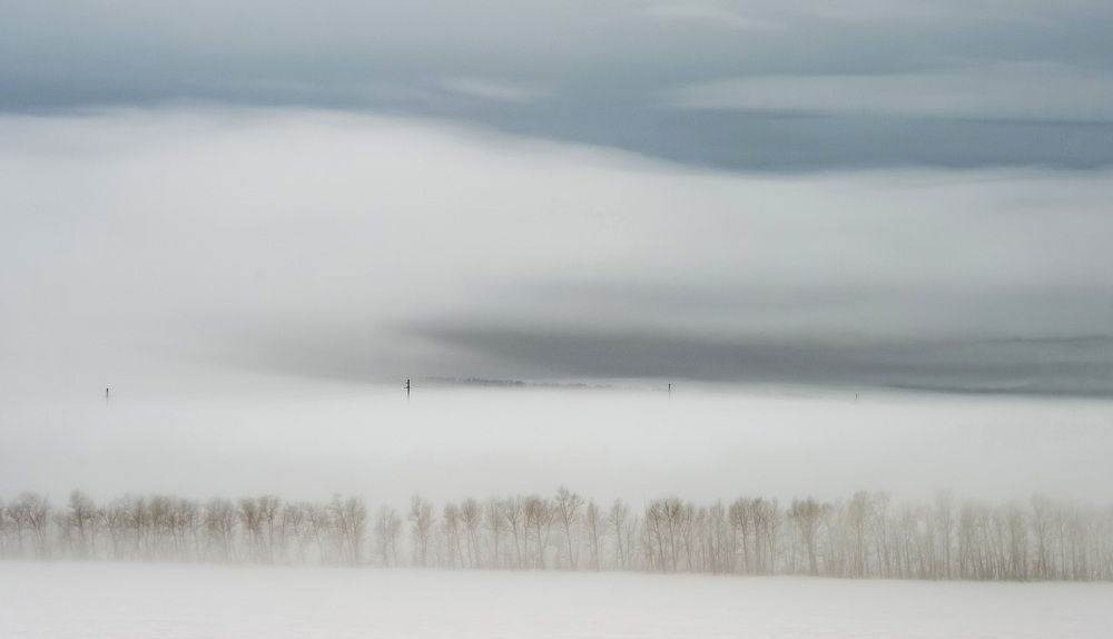 Метель. Blizzard