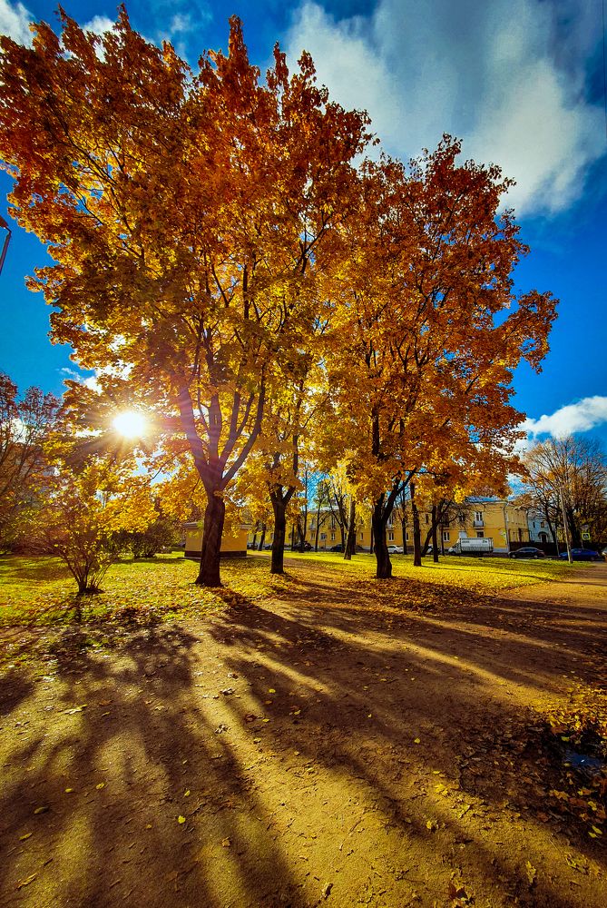 Осень в городе.