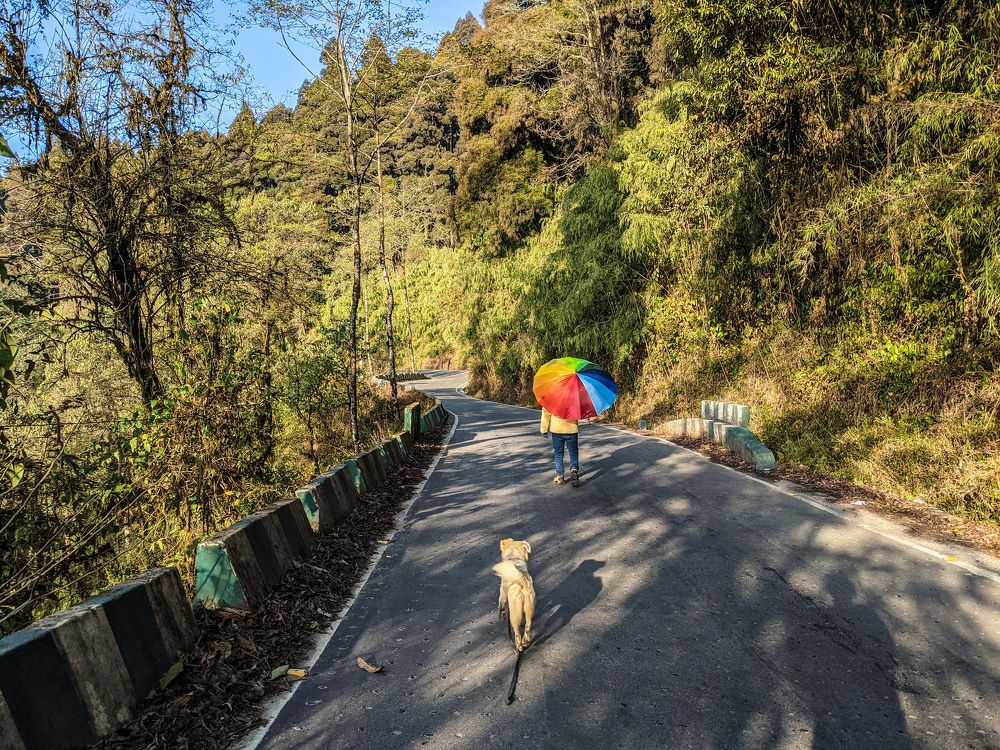 Photograph by SURIT DATTA