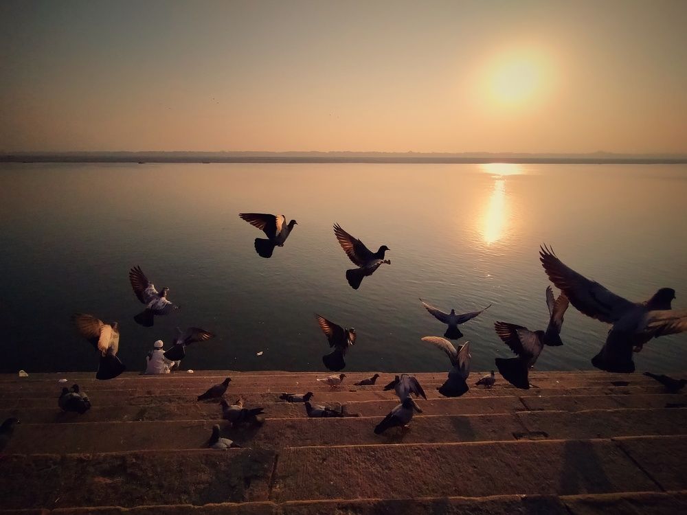 Photograph by Amit upadhyay