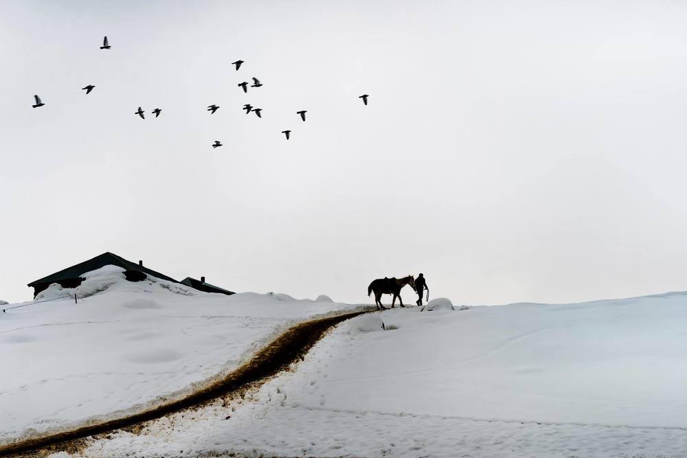 Photograph by Bahir DIBEKOGLU
