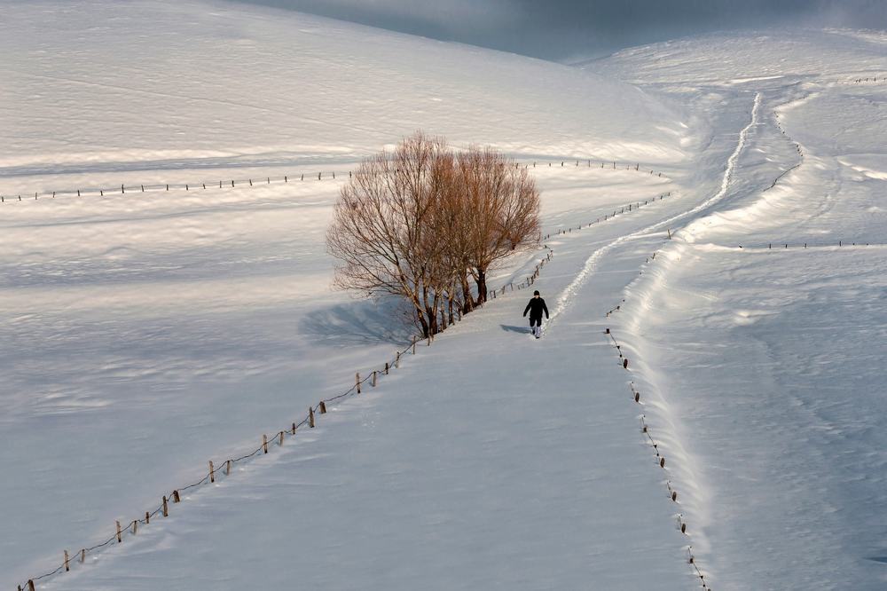 Photograph by Bahir DIBEKOGLU