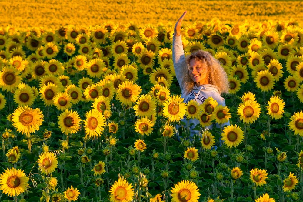 Солнечный привет