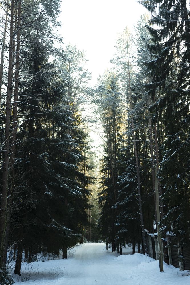 Photograph by Олеся Тетеря