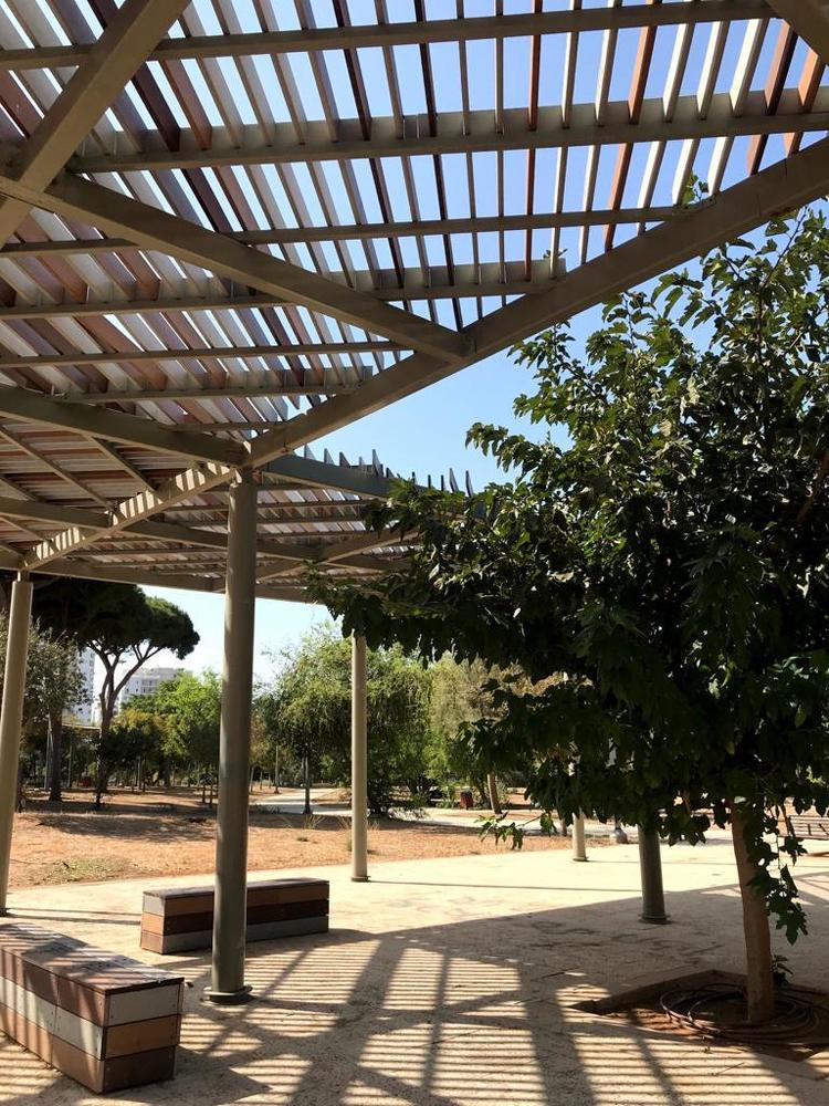 Israeli Autumn 2020 (1)