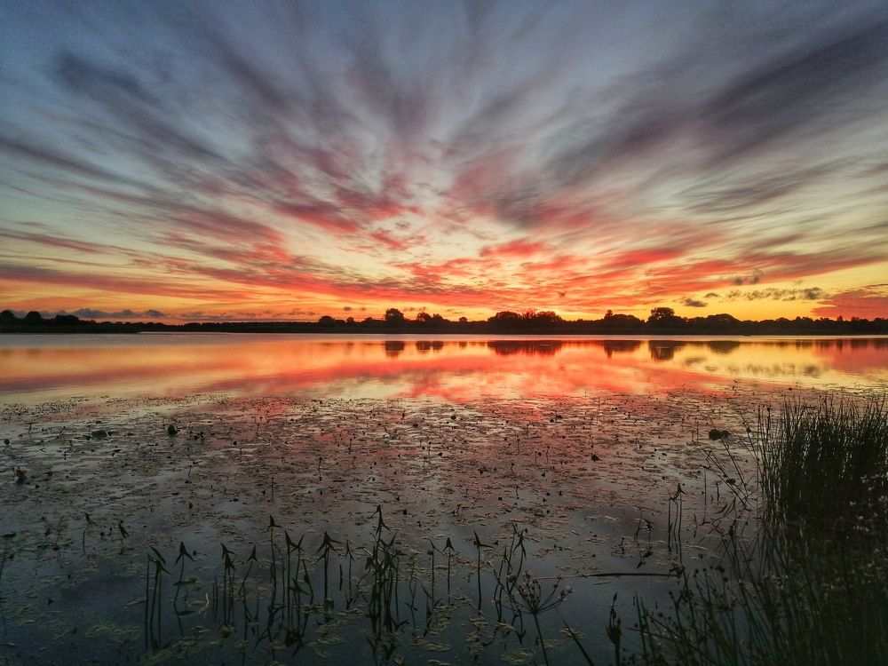 Photograph by Roman Dmitriev