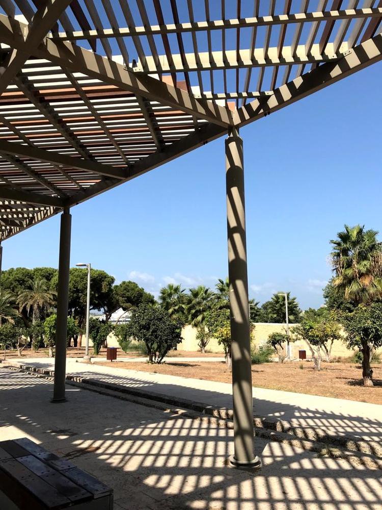 Israeli Autumn 2020 (2)