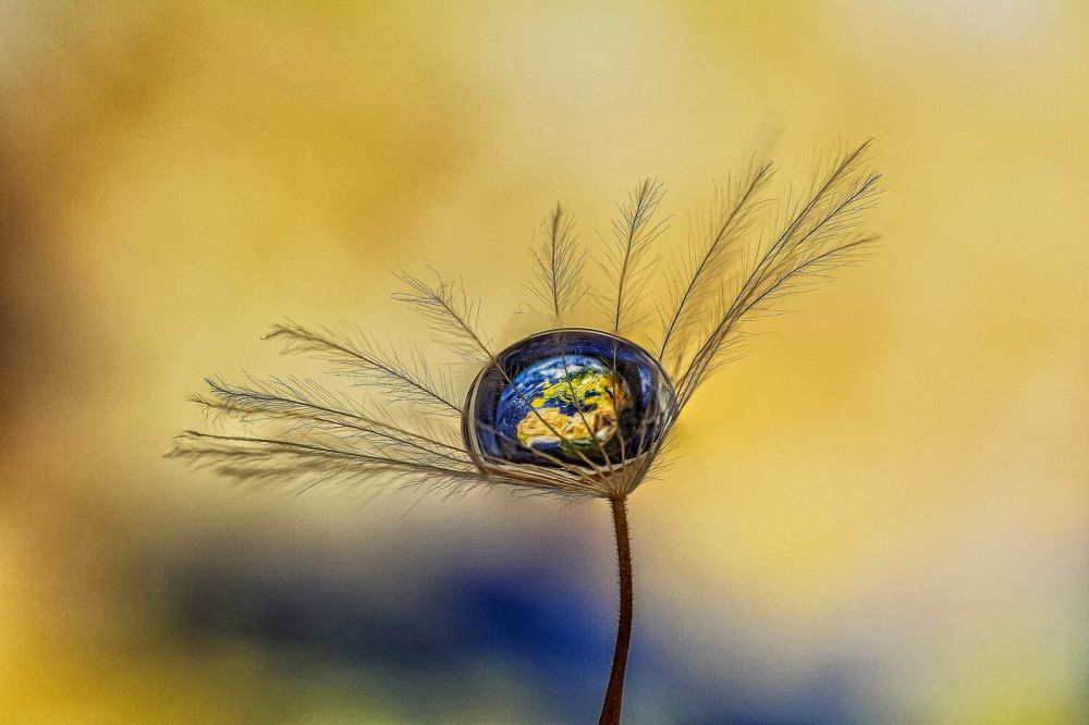 NATURE SUPPORTS EARTH