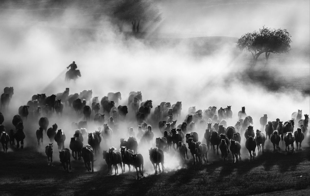 Photograph by Kok Tien Sang