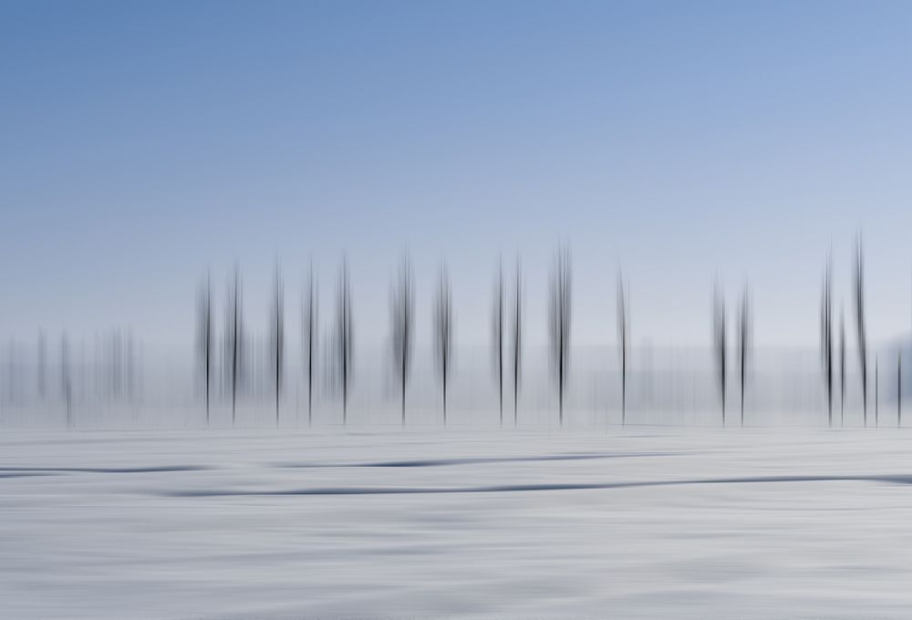 Photograph by Behnam Khoshbaten