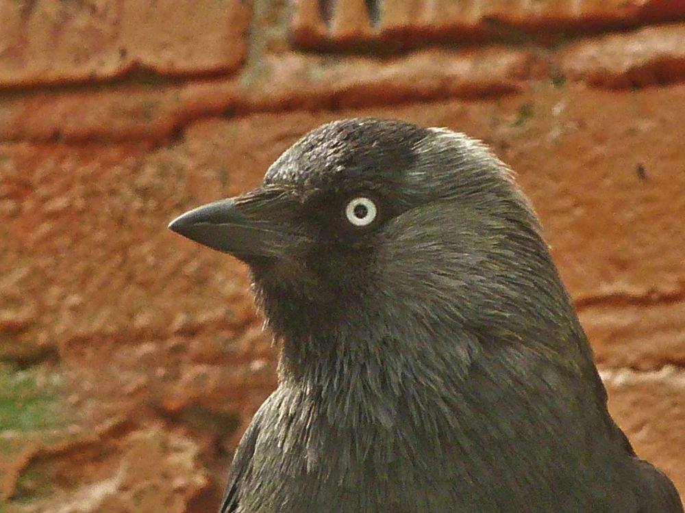 Фотография автора Клавдия Васильева