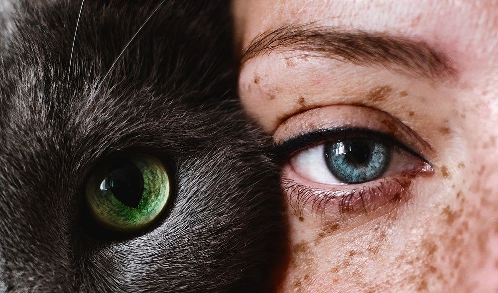 Photograph by Марат Соловьев