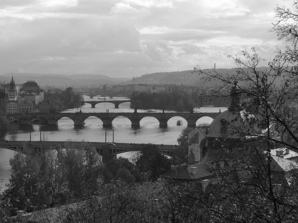 Photograph by Marina Razheva