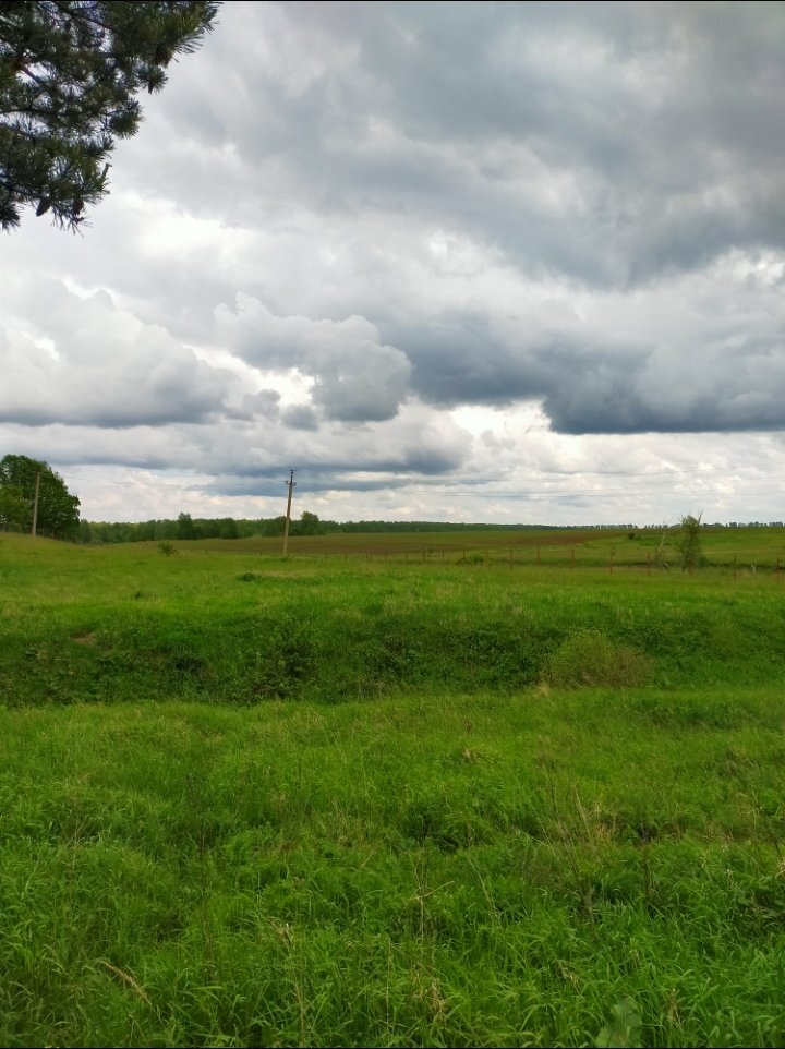 Photo #5612217
