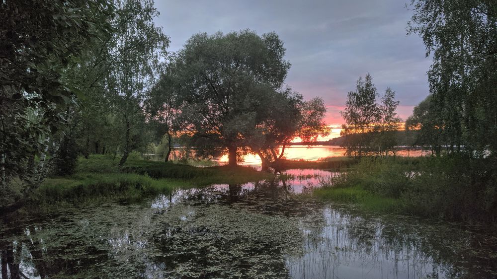 Photograph by Яр Ник