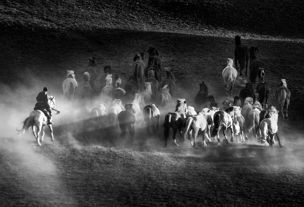 Photograph by Kok Tien Sang