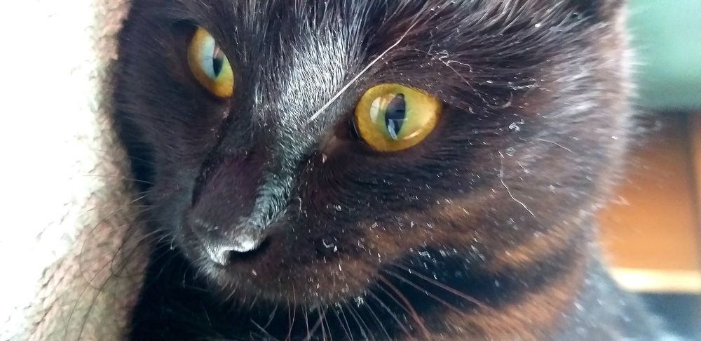 Photograph by Светлана Середина