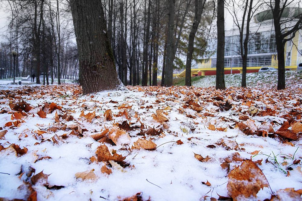 Photograph by Белевитин Михаил