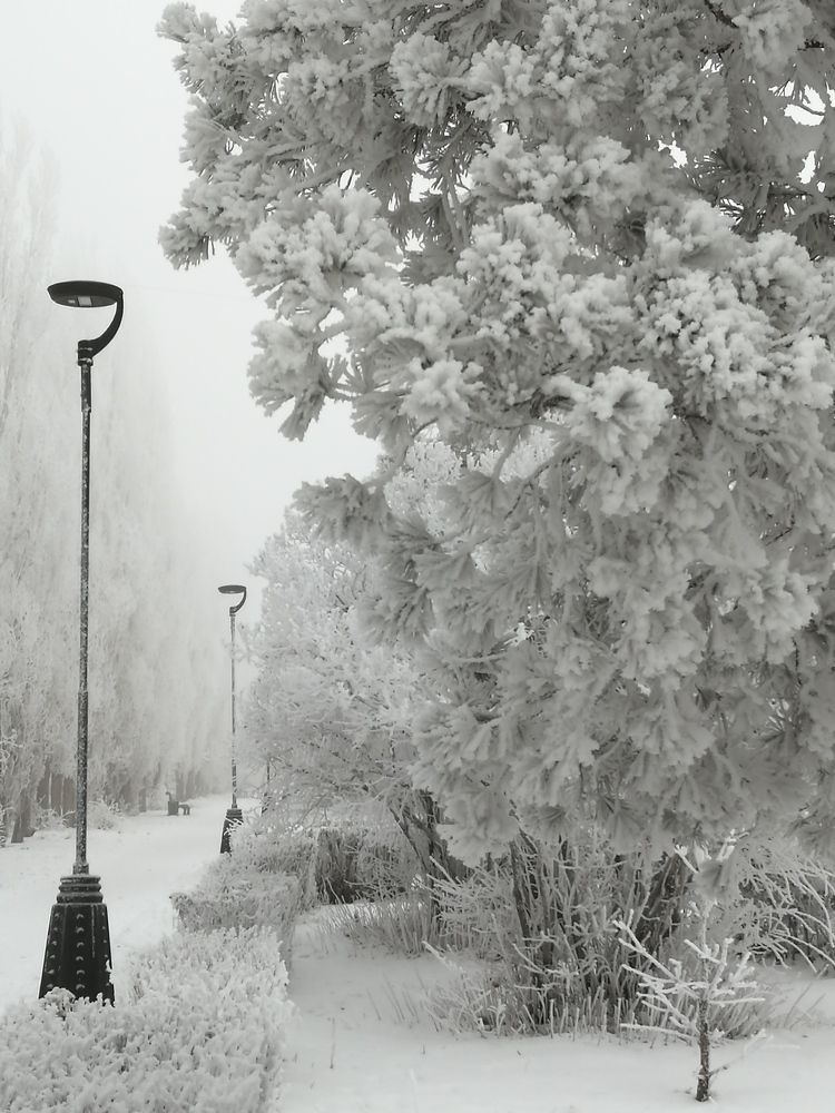 Photograph by Ольга Мокрова