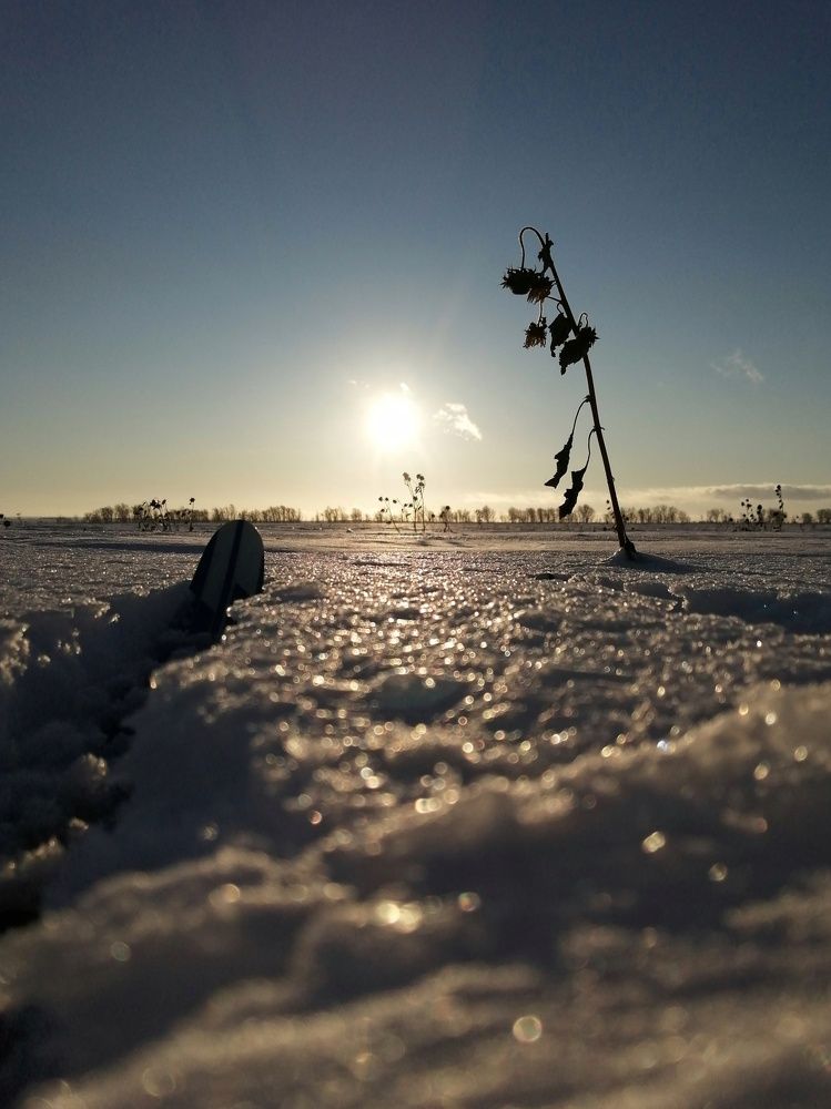 Photograph by Ольга Мокрова